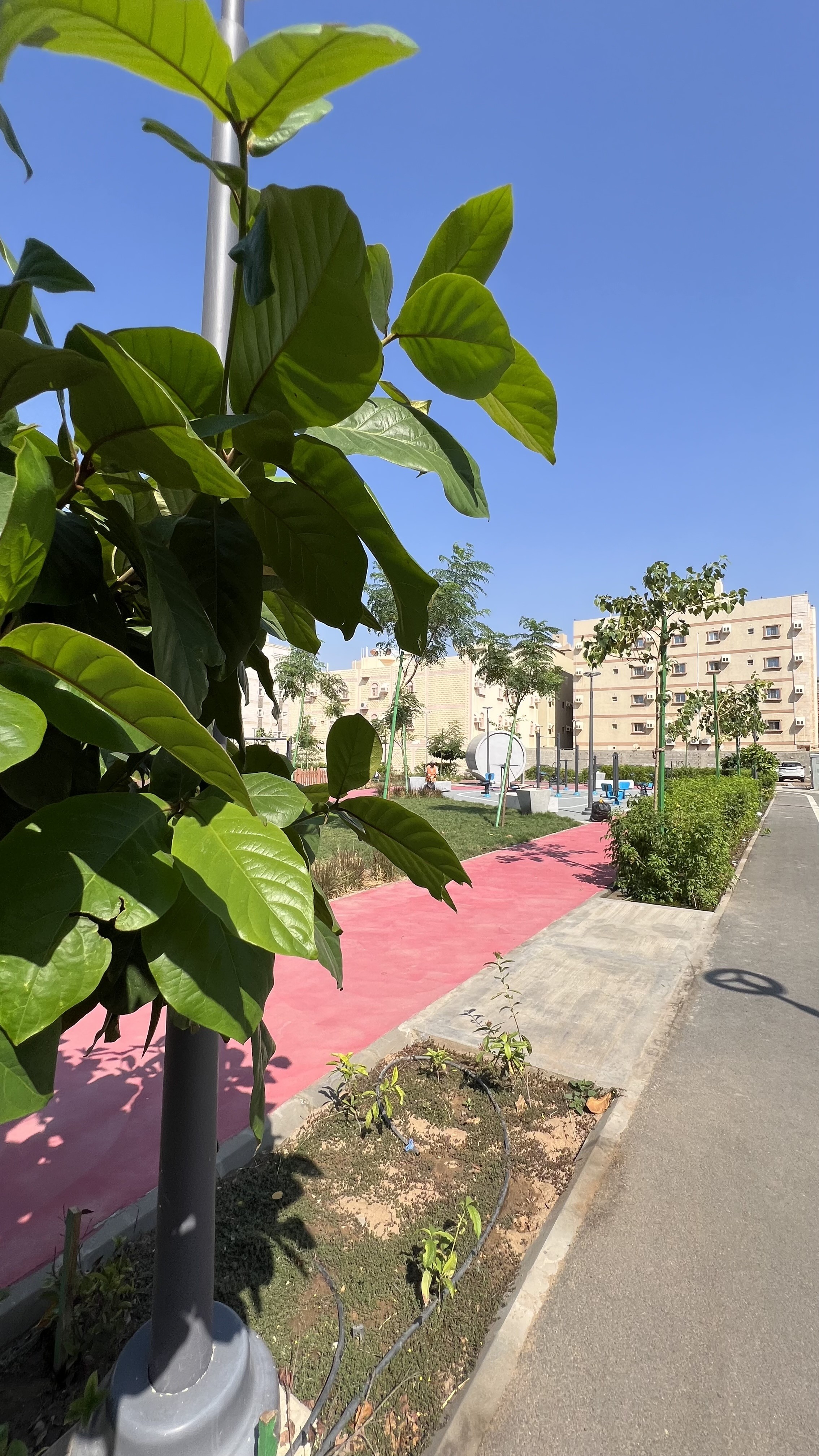 حديقة الريان