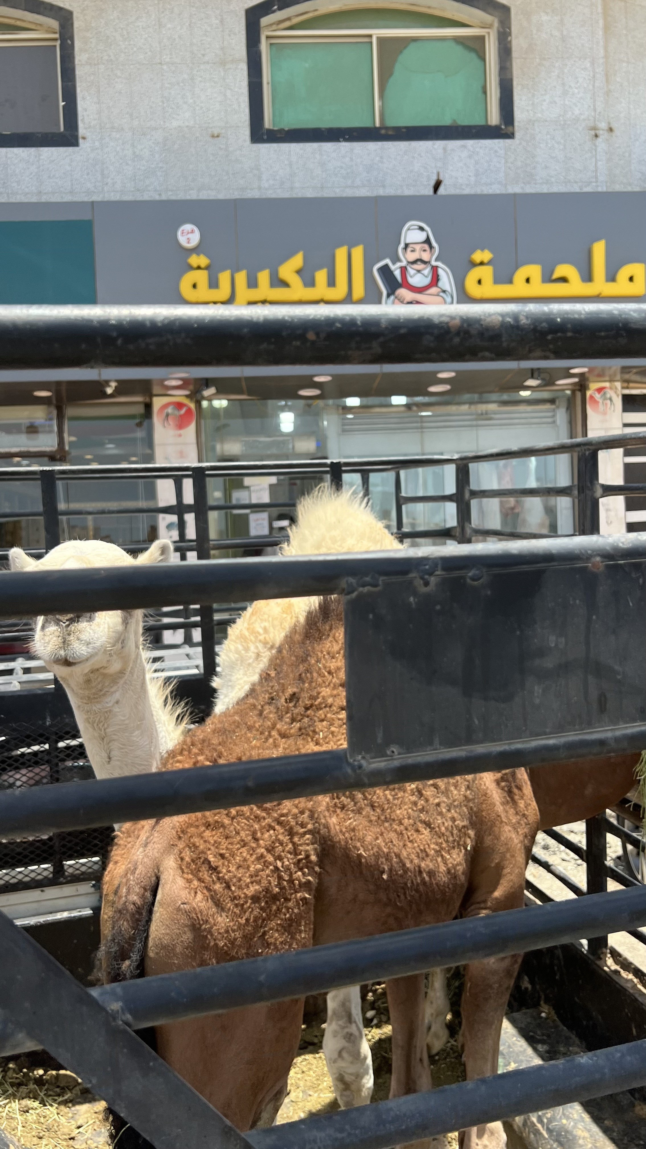 ملحمة البكيرية